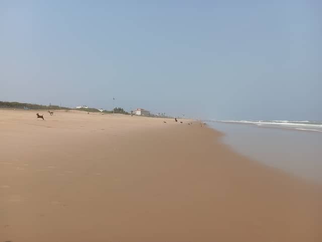 Baby Beach - Image 1