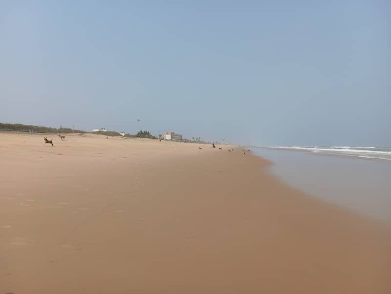 Baby Beach - Image 1