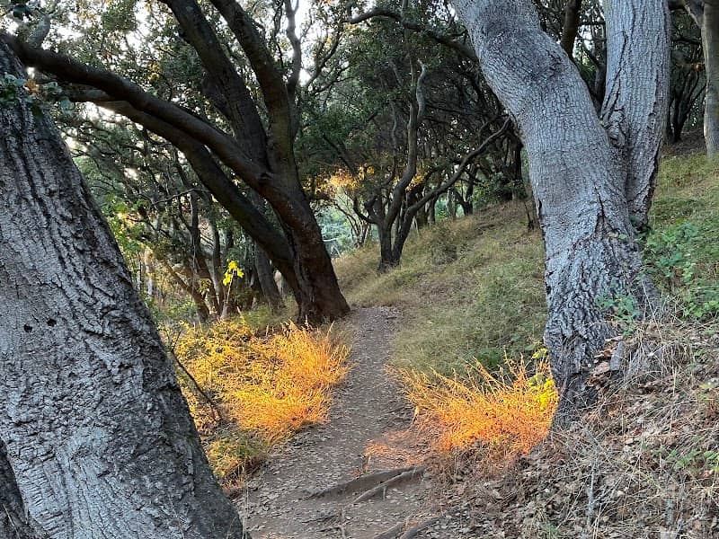 Hillside Natural Area - Image 2