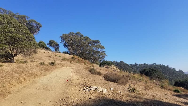 Hillside Natural Area - Image 3