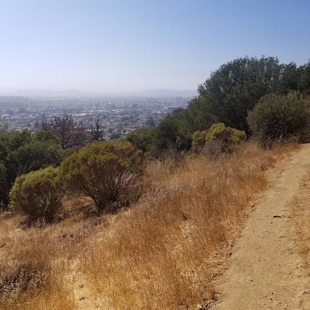 Hillside Natural Area - Image 1