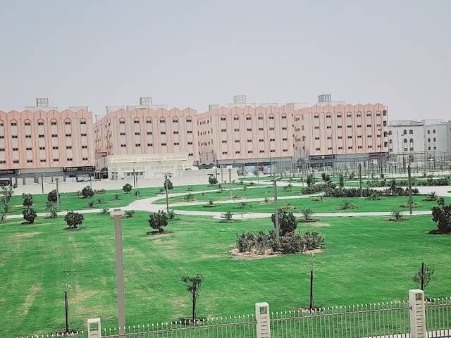 Old Muwaileh park - Image 1