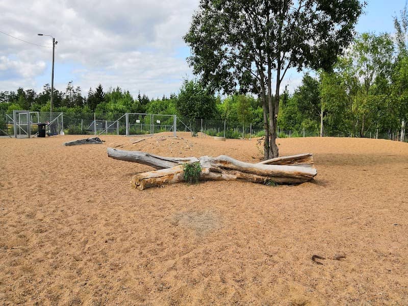 Nokia's dog park - Image 1