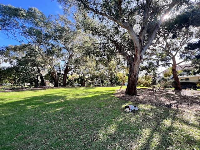 W F Vale Reserve - Image 1