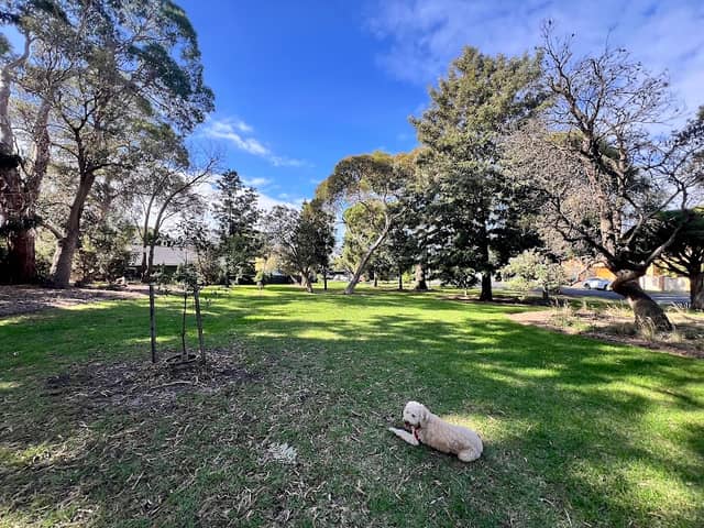 W F Vale Reserve - Image 2
