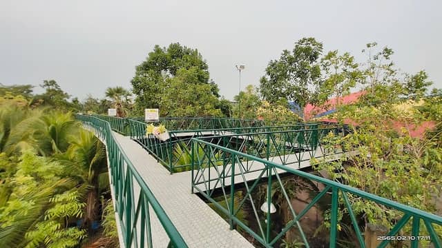 สกายวอล์ค บึงคำพร้อย Bueng Kham Phroi Skywalk - Image 2