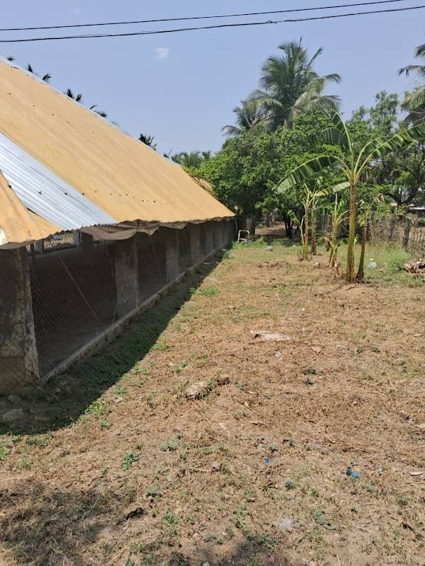 Likkil Farm house - Image 1