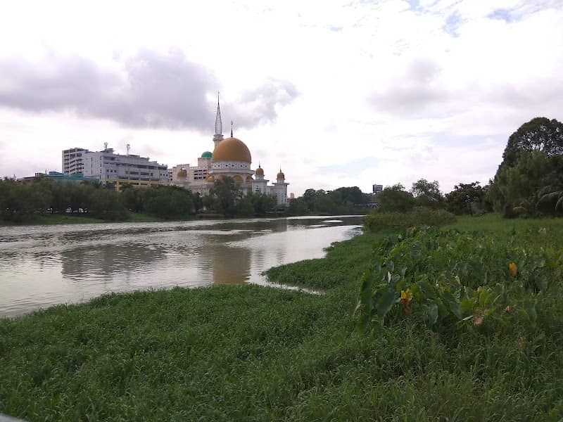 KerolFigs Garden - Image 2