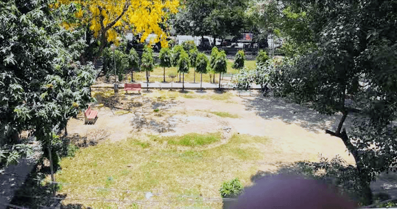 PARK - Image 2