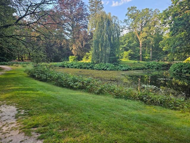 De Overtuin - Image 2