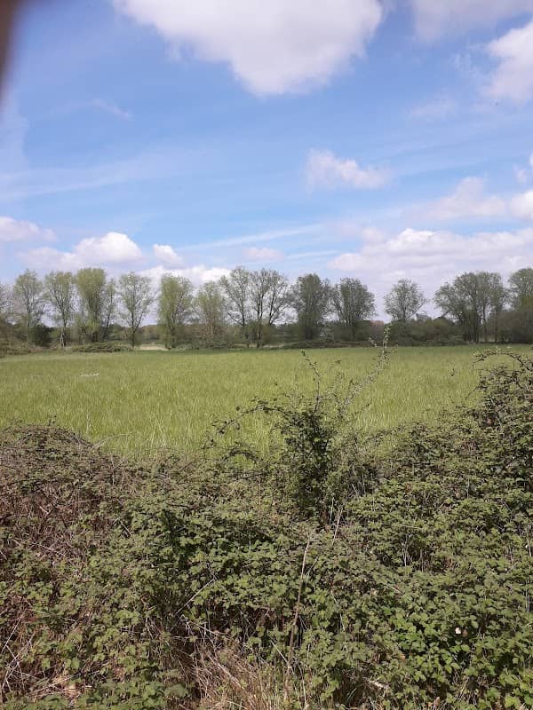 Tanyard meadows - Image 2