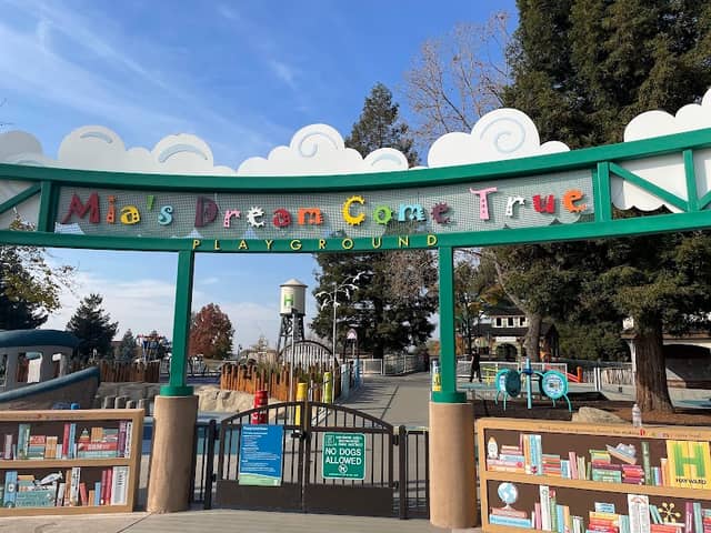 Mia’s Dream Come True: All Abilities Playground - Image 2