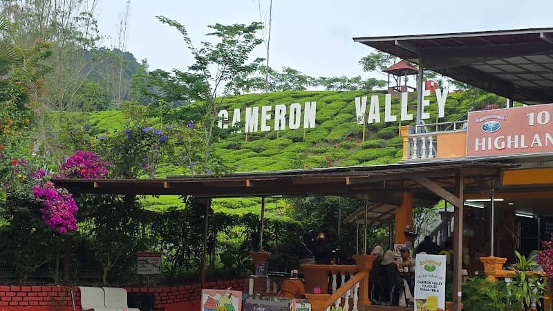 Cameron Adventurous (Kuala Terla Tea Plantation) - Image 3