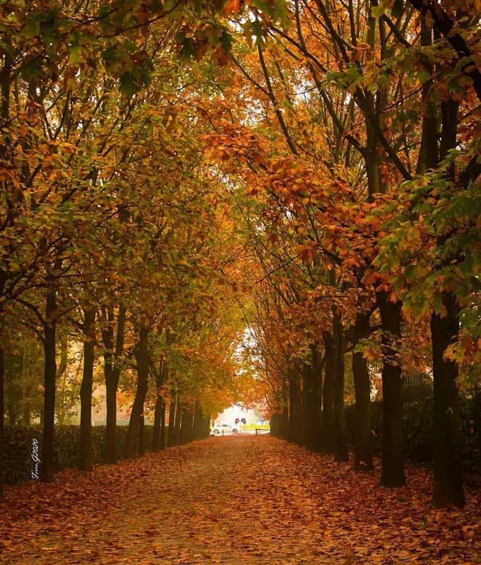 Giardini del Santuario - Image 2