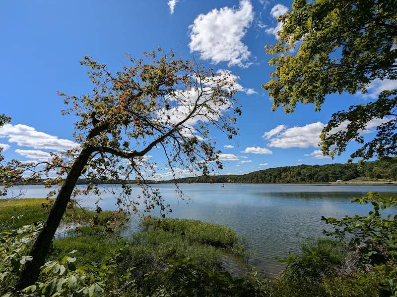 Woodyard Conservation Area - Image 2