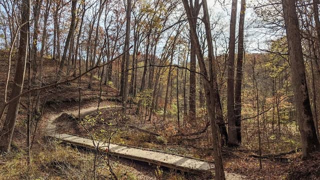 Woodyard Conservation Area - Image 1