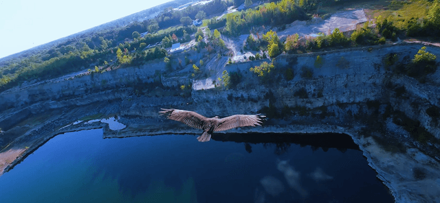 The Quarry Adventure Park - Image 3