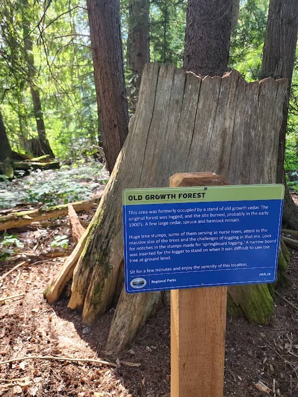 Winlaw Regional Nature Park - Image 2