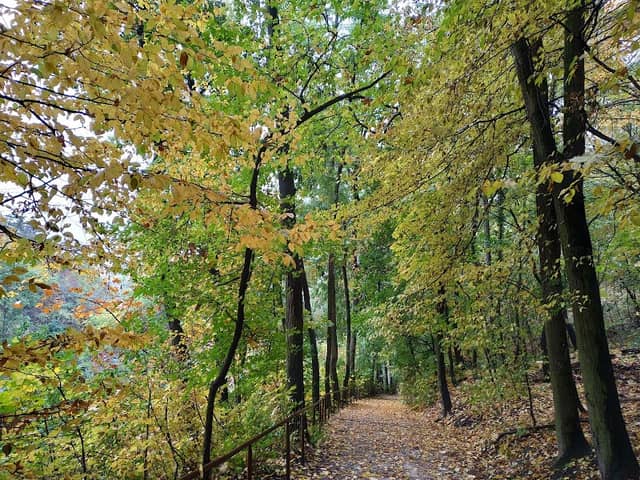 Přírodní park Radotínsko-Chuchelský háj - Image 2