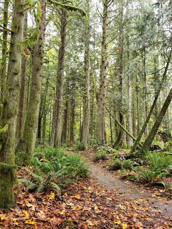 Beaver Lake Preserve - Image 2