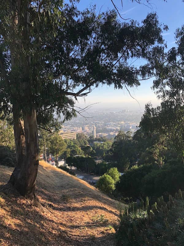Berkeley Mountain View - Image 3