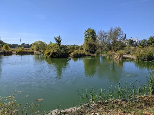 Weiser Community Fishing Pond - Image 1