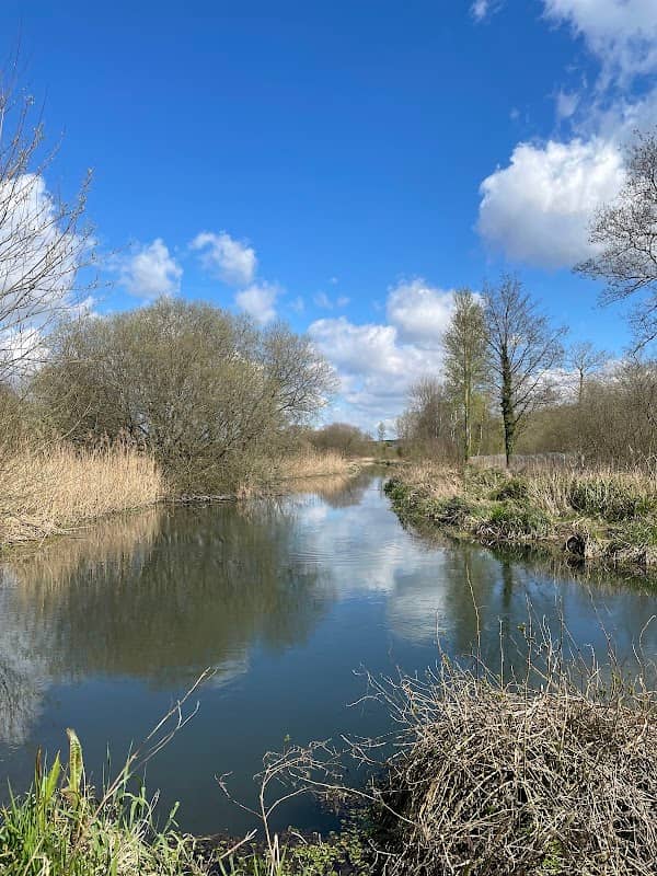 Winnall Moors Wildlife Reserve - Image 3