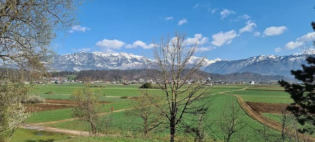 Gozdni park Duplica - Image 2