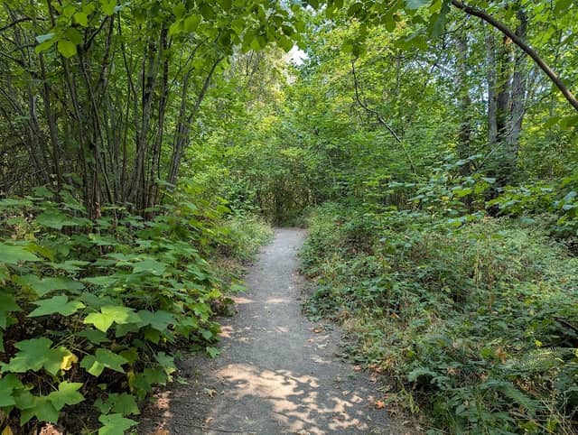 Pioneer Park - Image 1