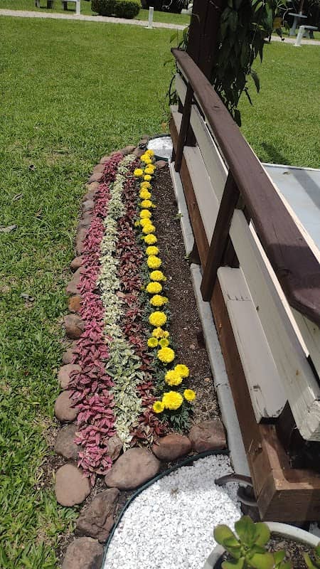 DEDA jardinagem - Image 1