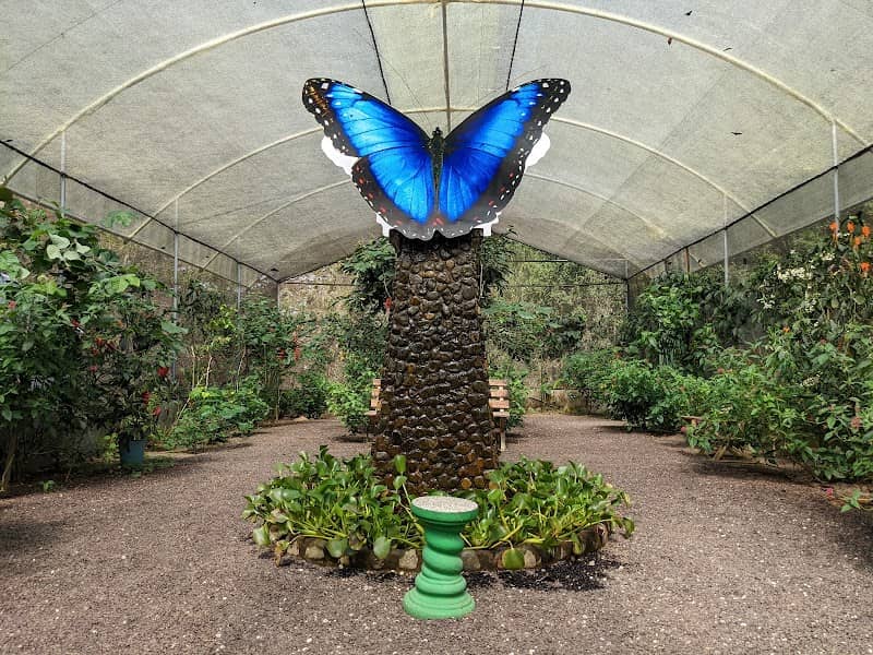 JARDIN DE LAS MARIPOSAS - Image 3