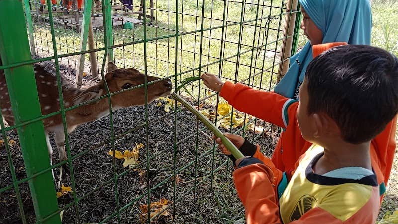 Agrowisata BUMDES "WRINGIN SEJAHTERA" - Image 1