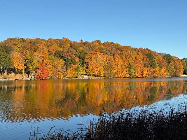 Little Cedar Lake - Image 2