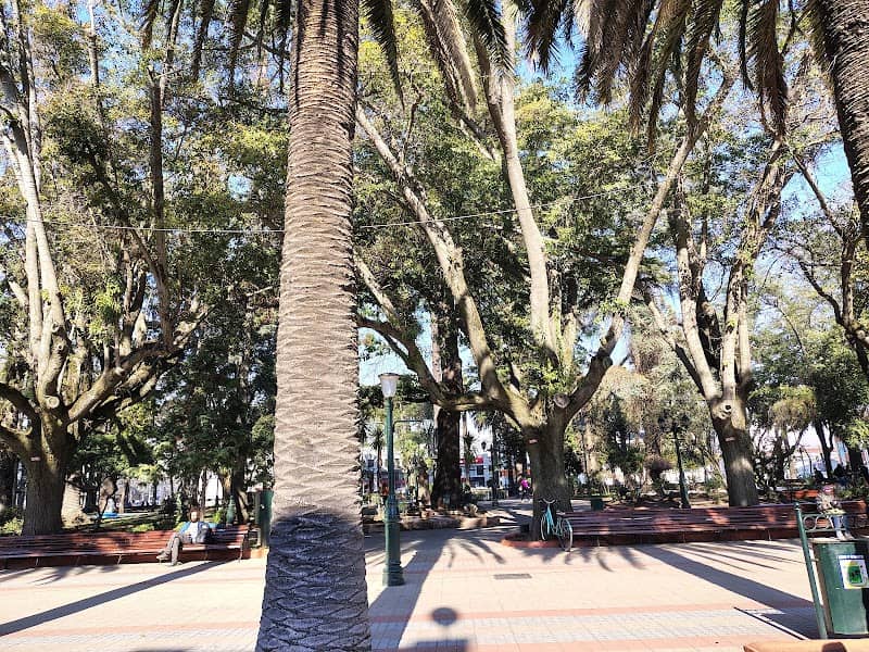 PLAZA CURICÓ - Image 2