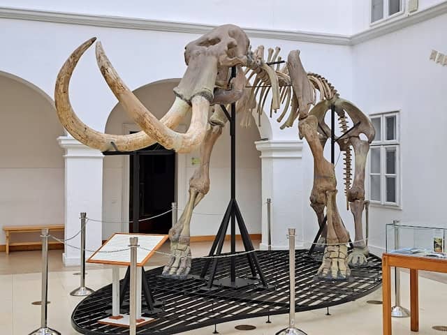 Museum Matra - Image 1
