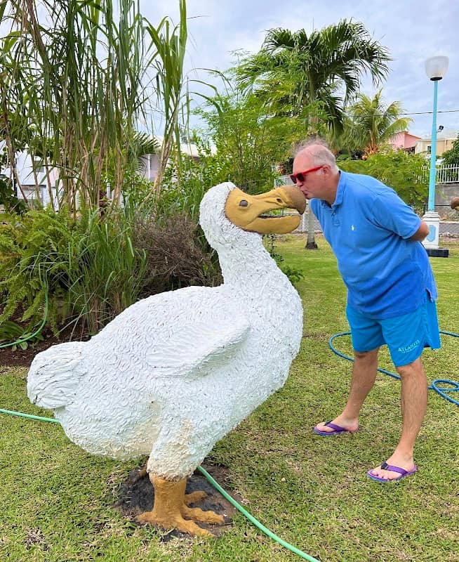 Dodo Roundabout - Image 1