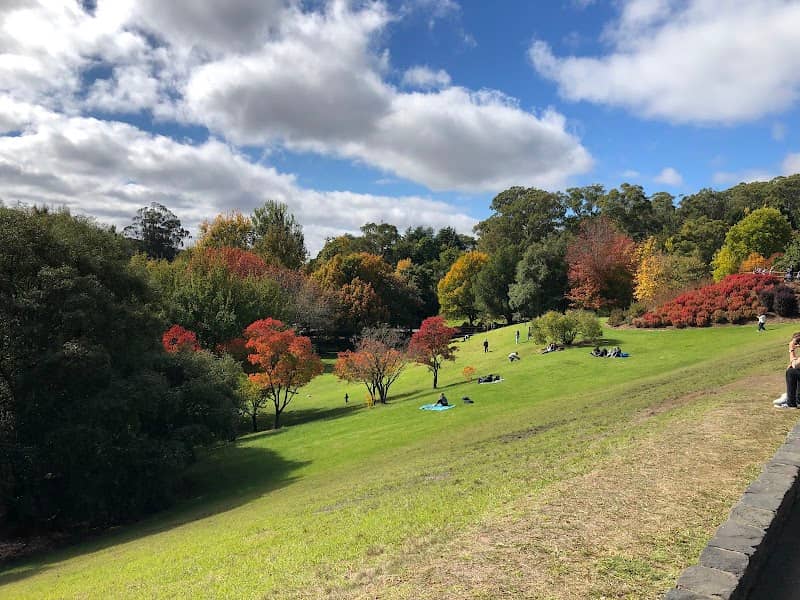 Mount Lofty Botanic Garden - Image 2