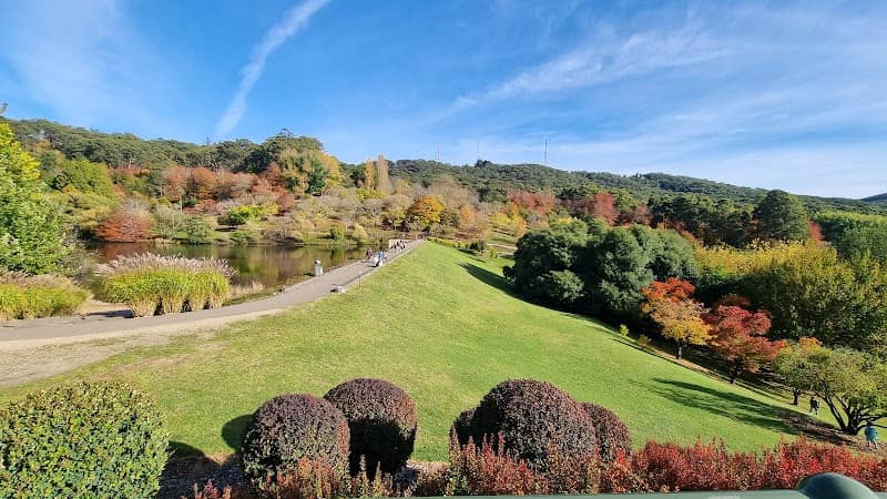 Mount Lofty Botanic Garden - Image 3