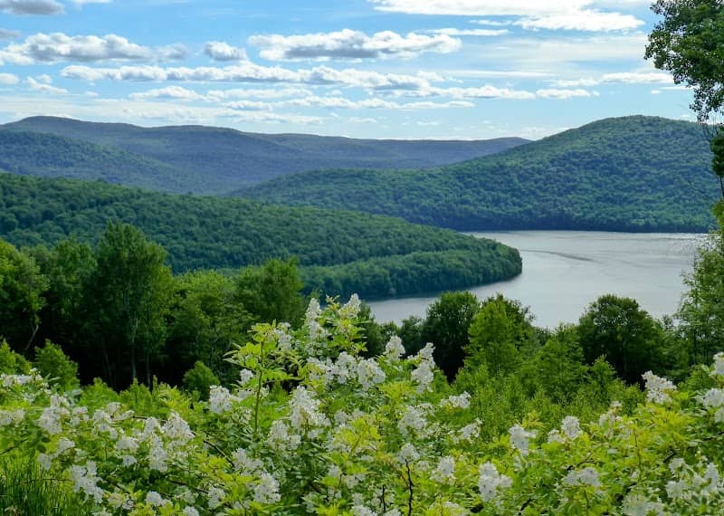 Shavertown Trail Trailhead - Image 1