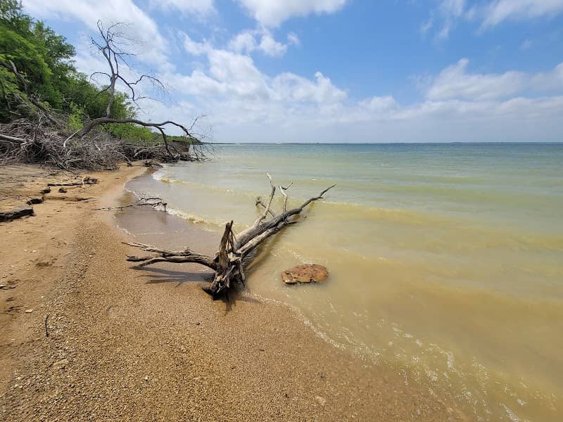 The Tribute Shoreline Nature Trail - Image 1