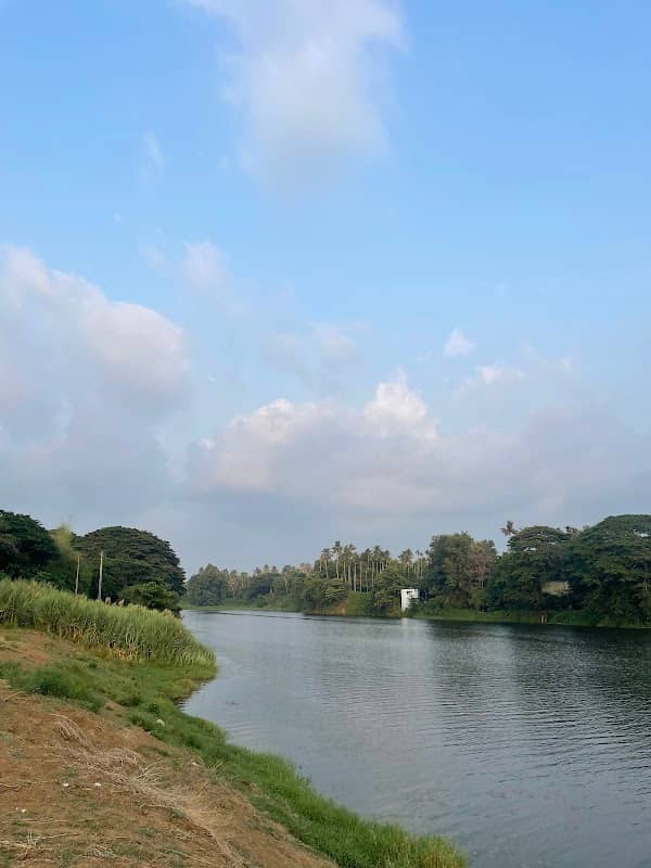 Chalakuddy River - Image 1