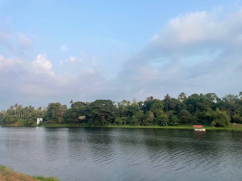 Chalakuddy River - Image 2