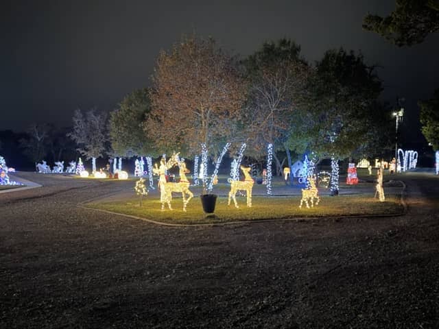 Mintz Family Christmas Light Display - Image 2
