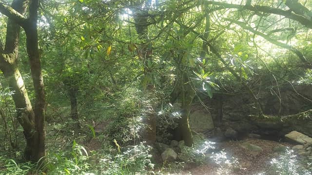 Nature Park - Image 2