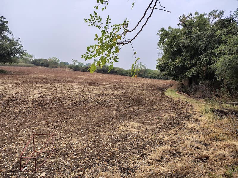Arohi's Farm - Image 1