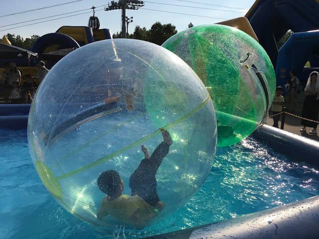 Niseko Village Nature Experience ground "Pure" - Image 2