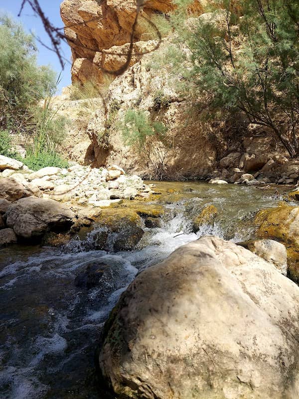 Omar Anqour Street - Image 1
