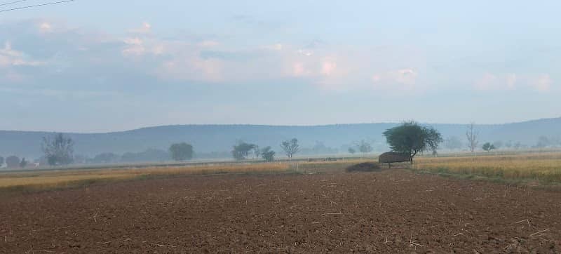 Jateri Rain Forest - Image 2