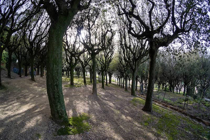 Parco della Rimembranza - Image 1
