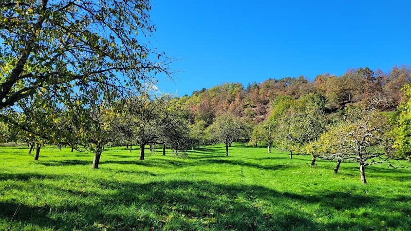 Weinau - Image 1